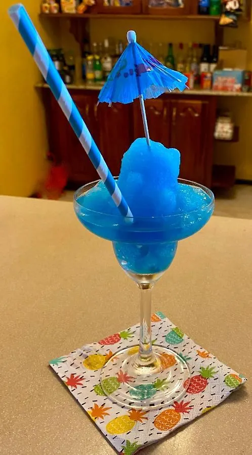 The Blue Orchid B&B 몬테고 베이 0*,