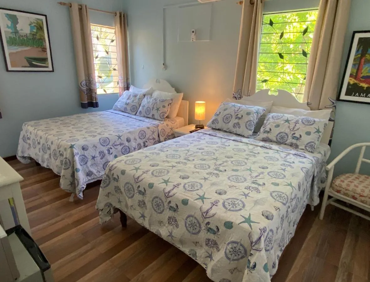 The Blue Orchid B&B Montego Bay