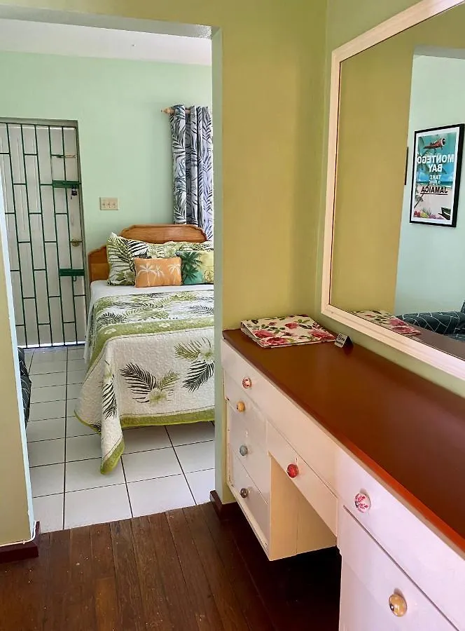 The Blue Orchid B&B Montego Bay 0*,