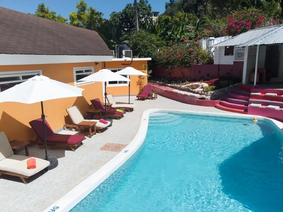 The Blue Orchid B&B Montego Bay Couette-café