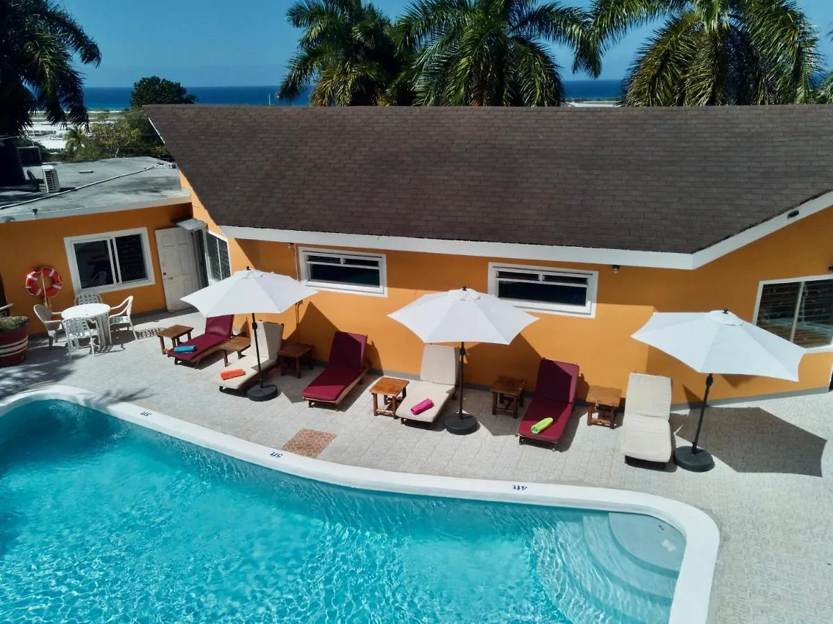 The Blue Orchid B&B Montego Bay Couette-café