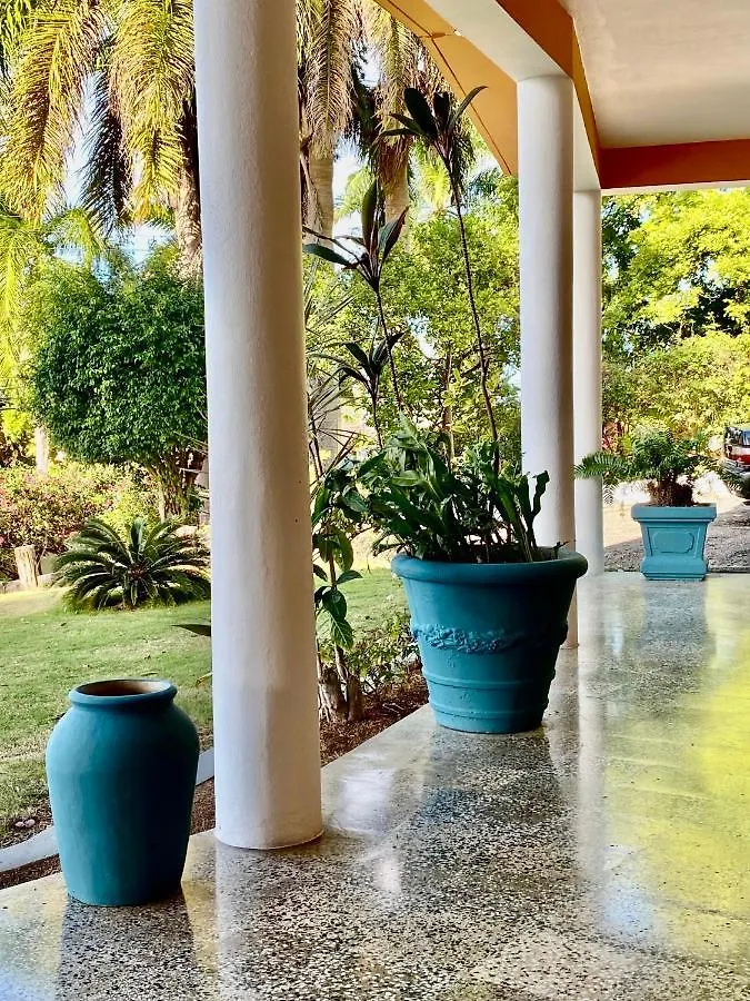 The Blue Orchid B&B Montego Bay