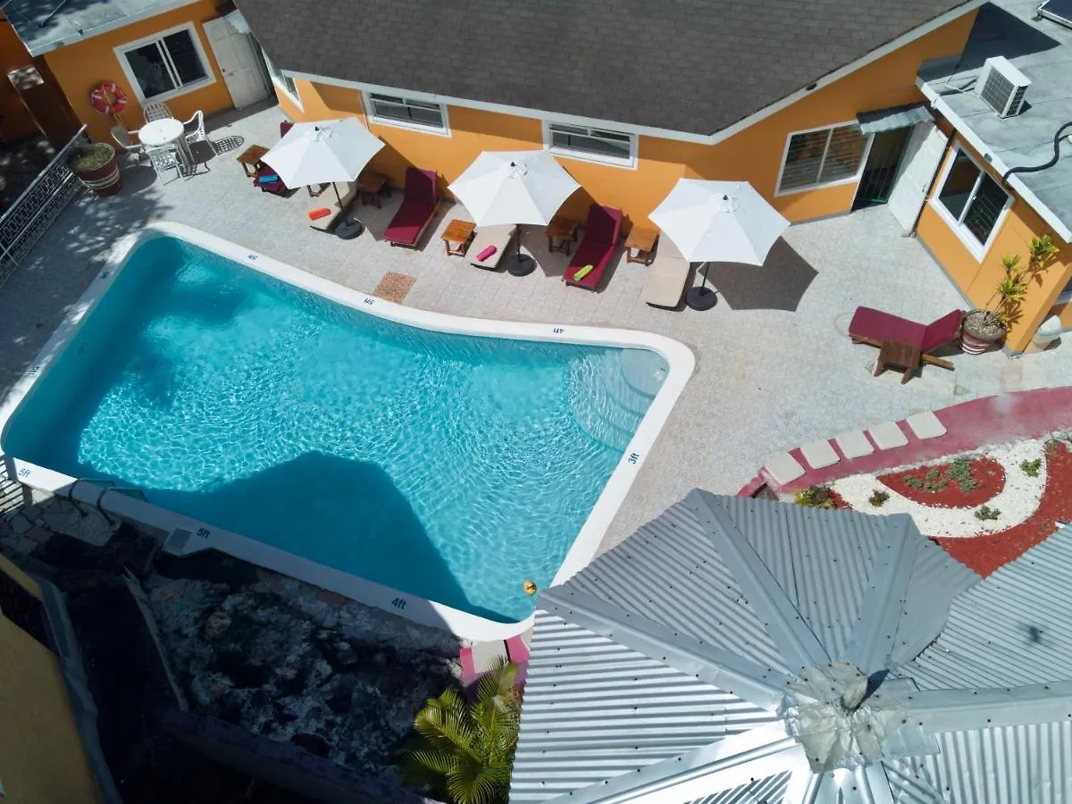 Couette-café The Blue Orchid B&B Montego Bay