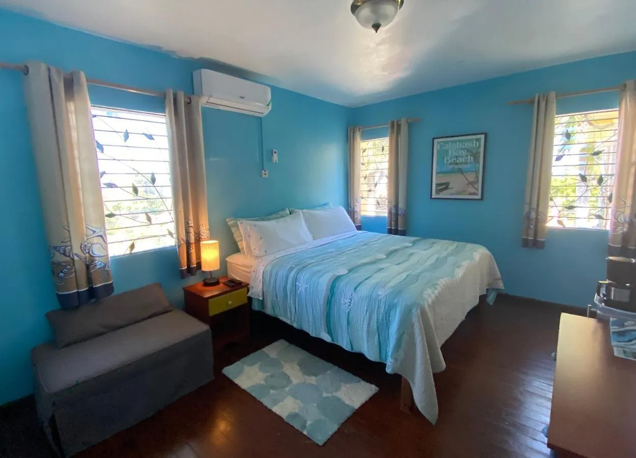 Couette-café The Blue Orchid B&B Montego Bay