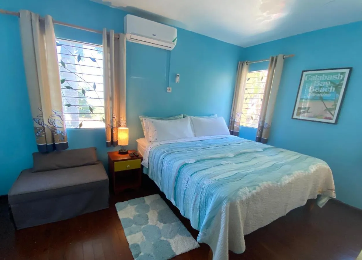 The Blue Orchid B&B Montego Bay 0*,