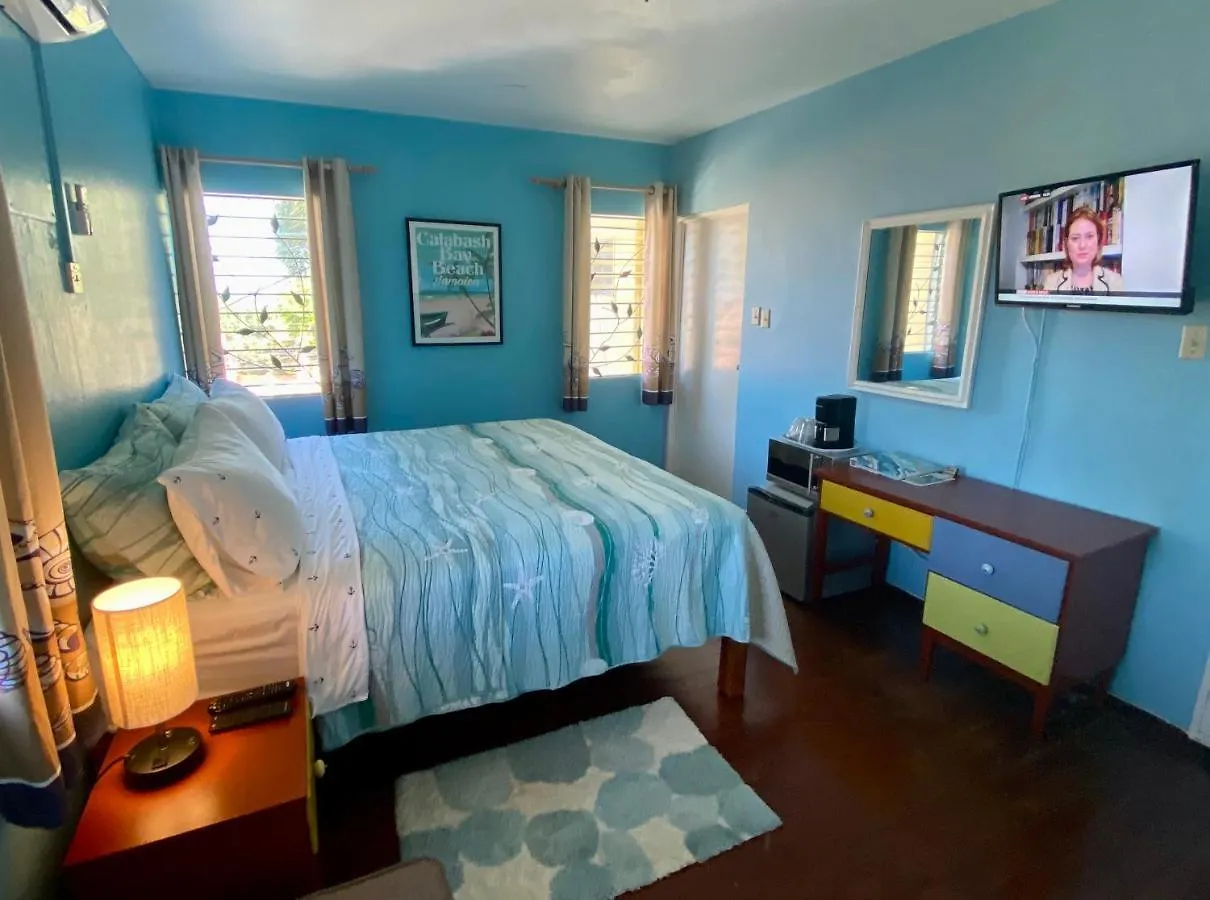 The Blue Orchid B&B Montego Bay 0*,