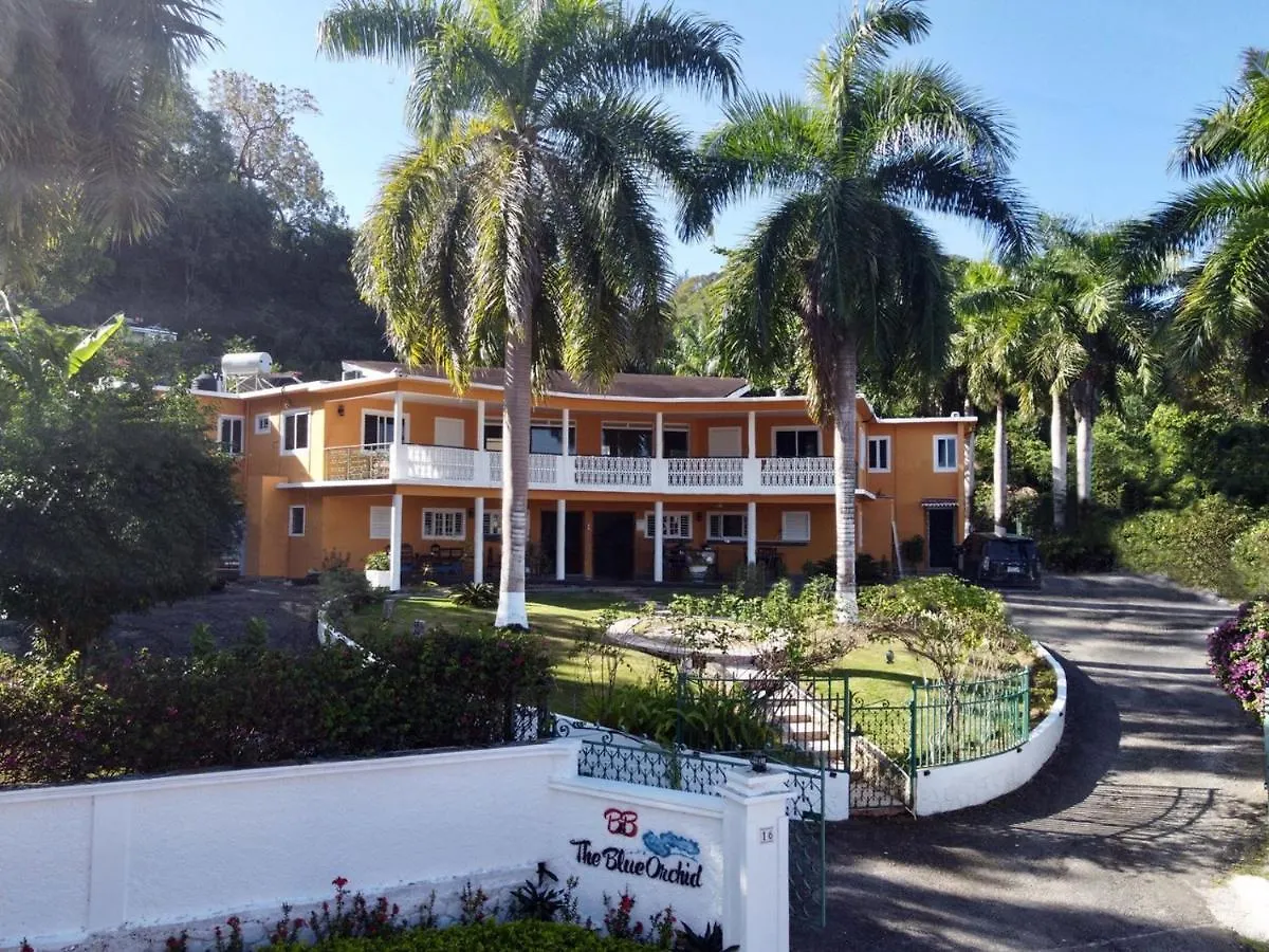 The Blue Orchid B&B Montego Bay 0*,  Jamaïque