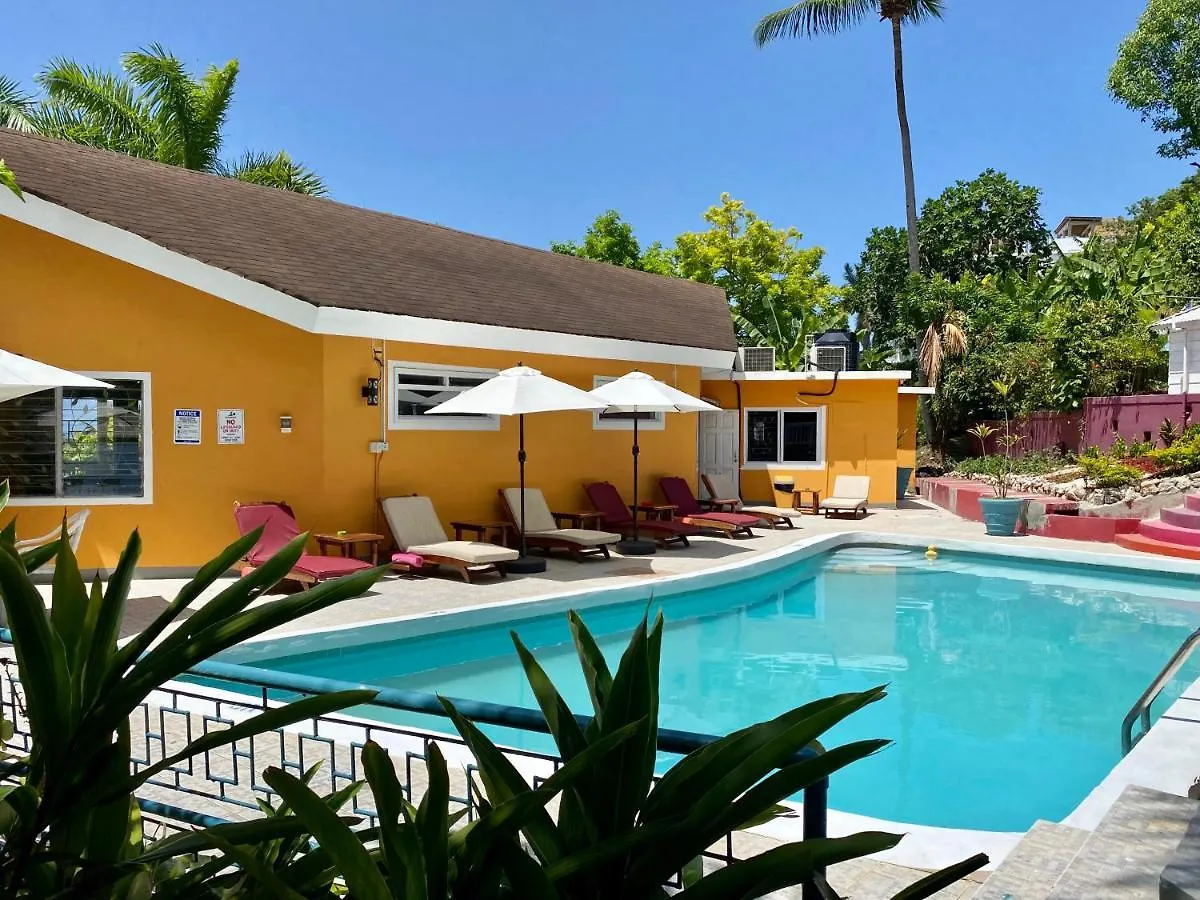 The Blue Orchid B&B Montego Bay