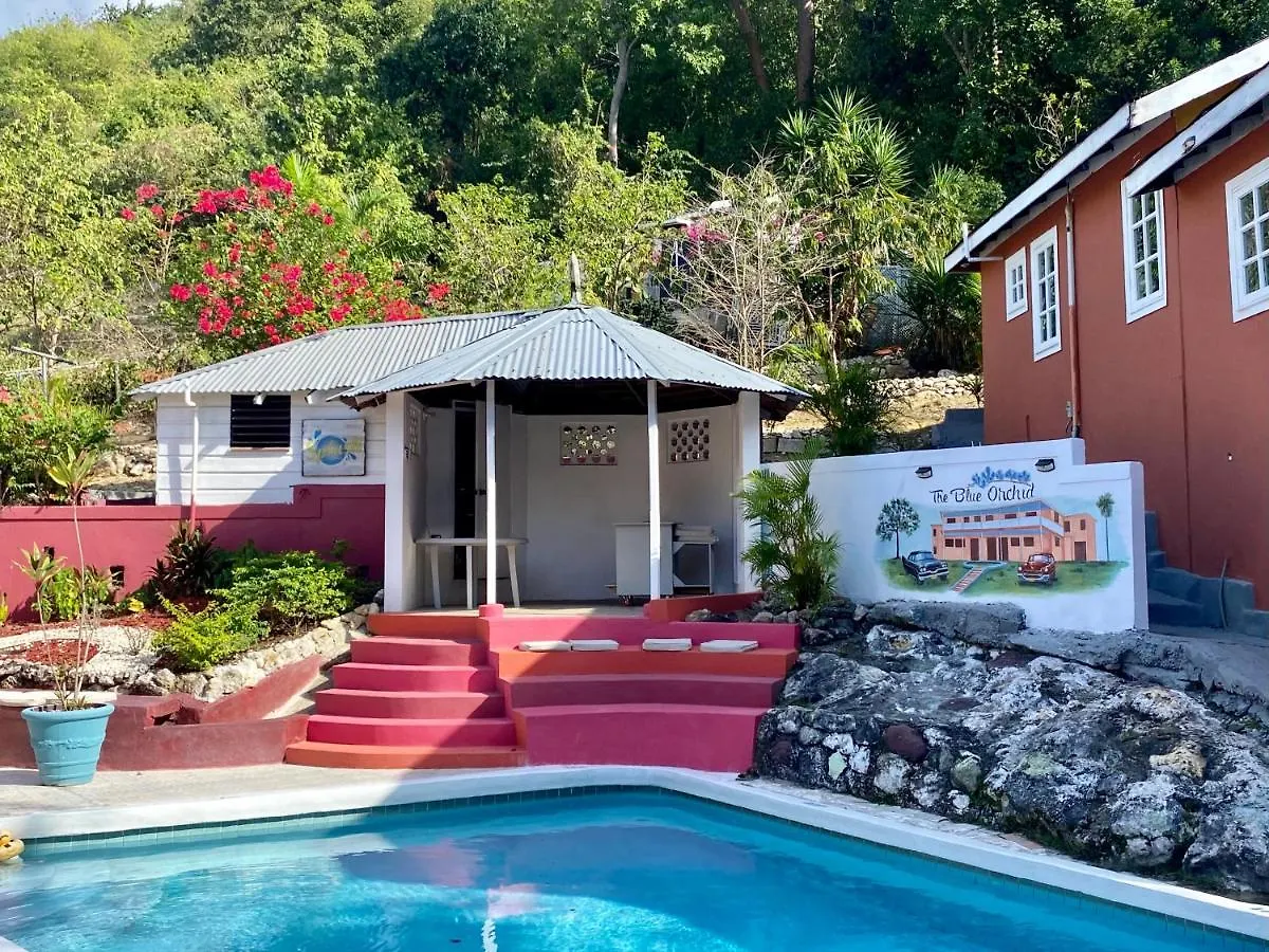 The Blue Orchid B&B Montego Bay Couette-café