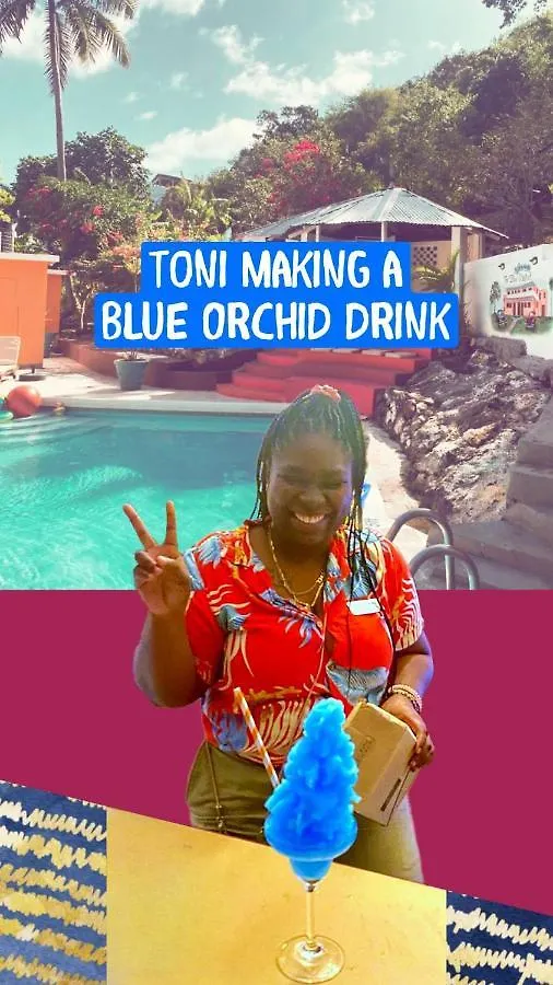 Nocleg ze śniadaniem The Blue Orchid B&B Montego Bay Jamajka